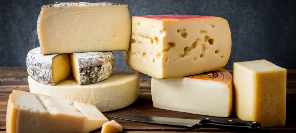 sourcing-cheese-larger